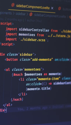 Web Development